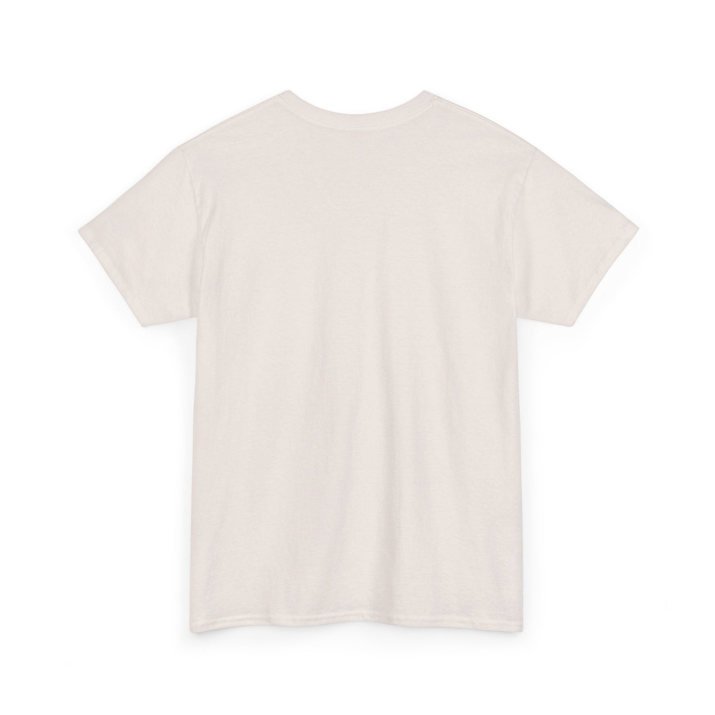 Pro Roe Unisex Heavy Cotton Tee