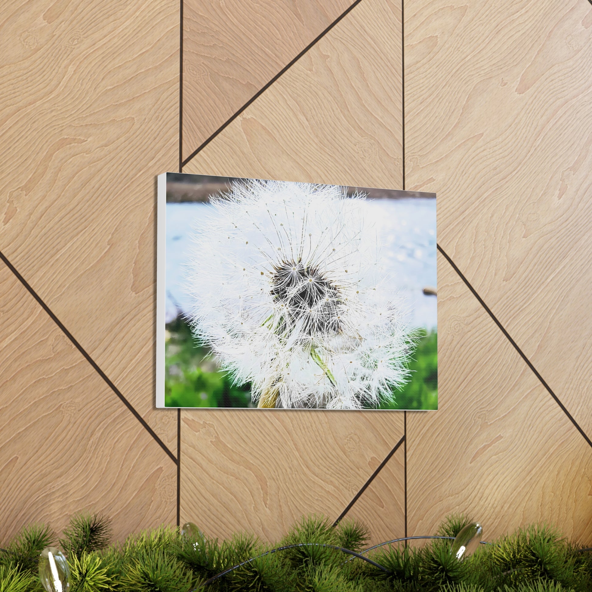 Dandelion Canvas Gallery Wraps - Eccentricity Emporium LLC