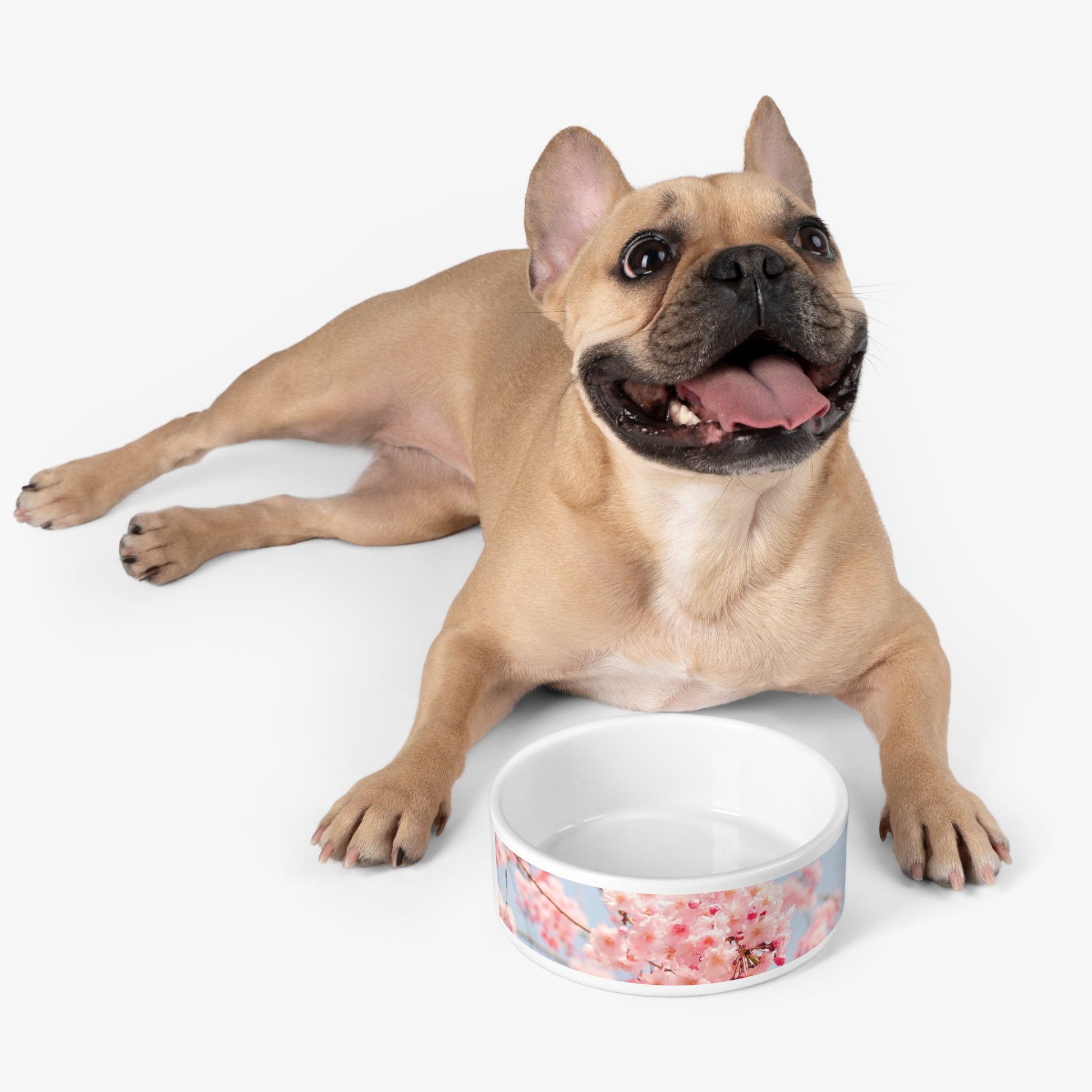 Pink Floral Pet Bowl - Eccentricity Emporium LLC