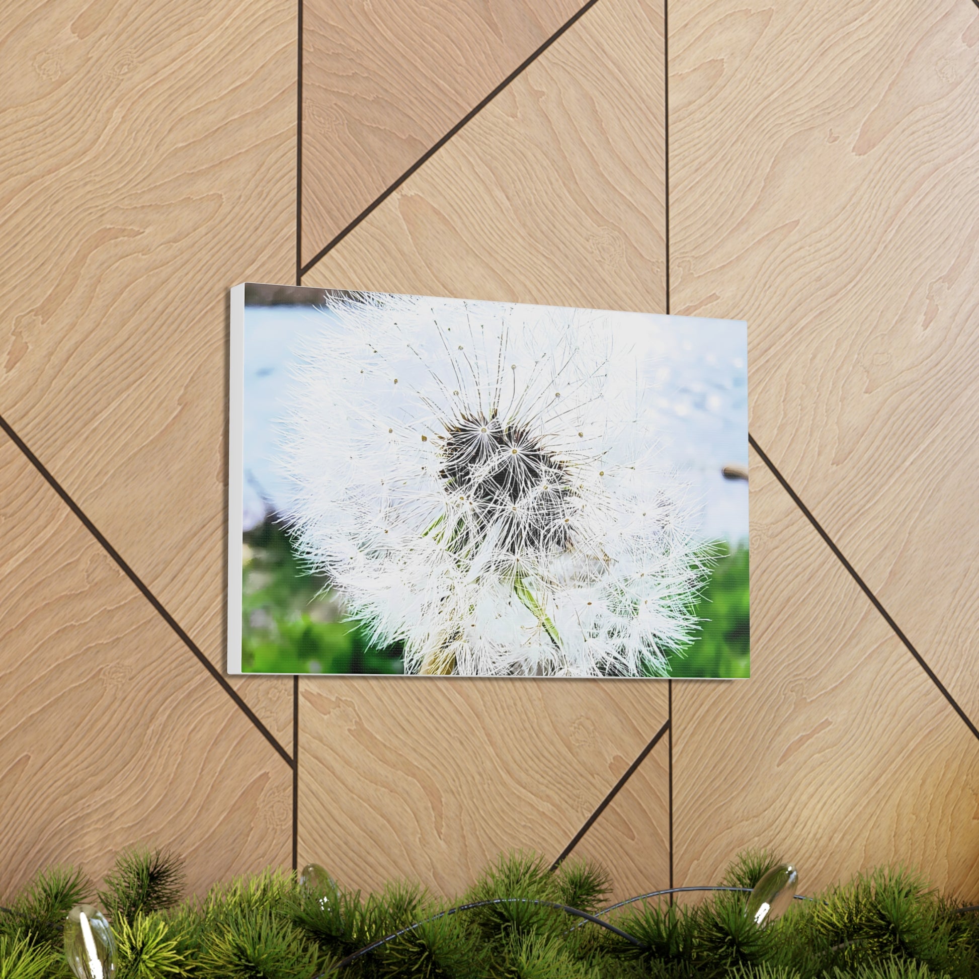 Dandelion Canvas Gallery Wraps - Eccentricity Emporium LLC