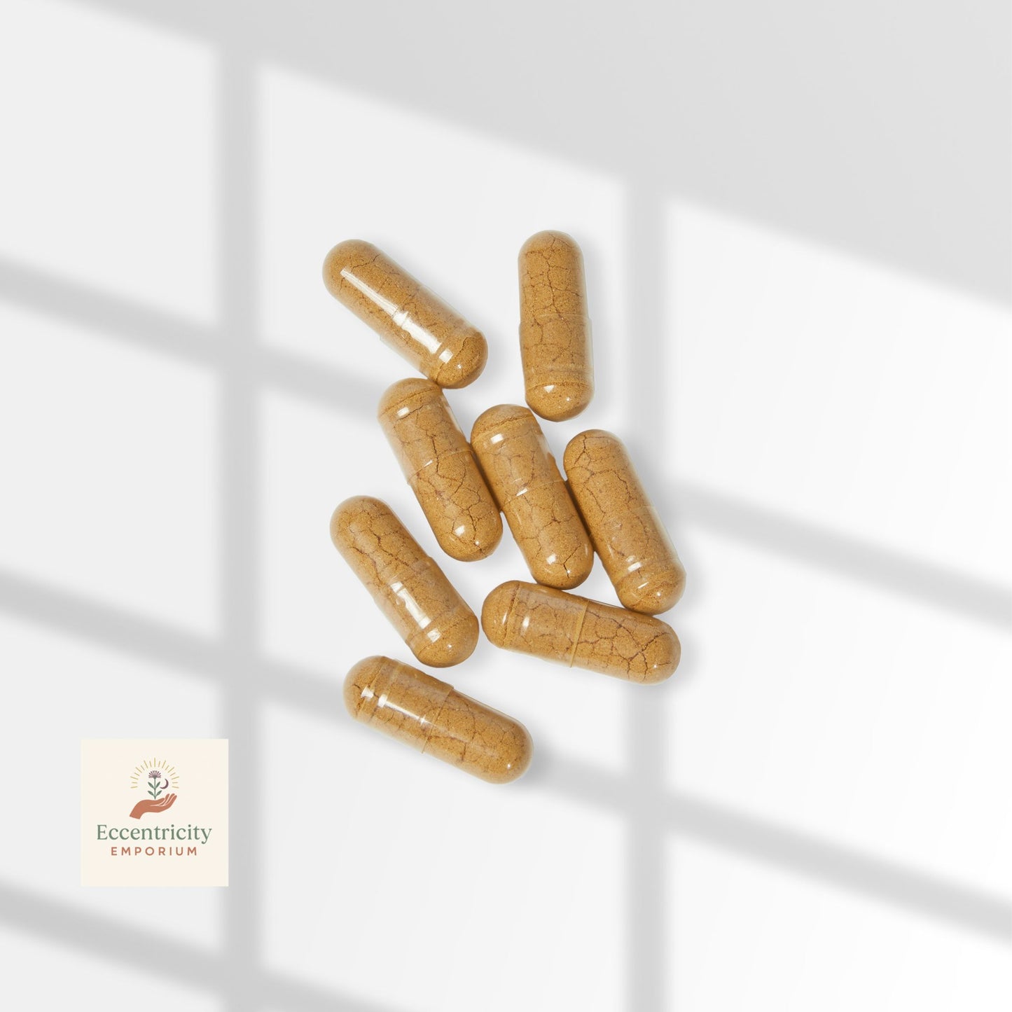 Mushroom Blend – Ancient Fungi for Vitality, Focus & Kapha Balance