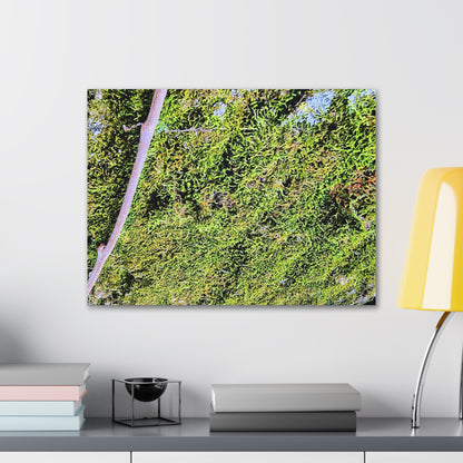 Moss Canvas Gallery Wraps - Eccentricity Emporium LLC