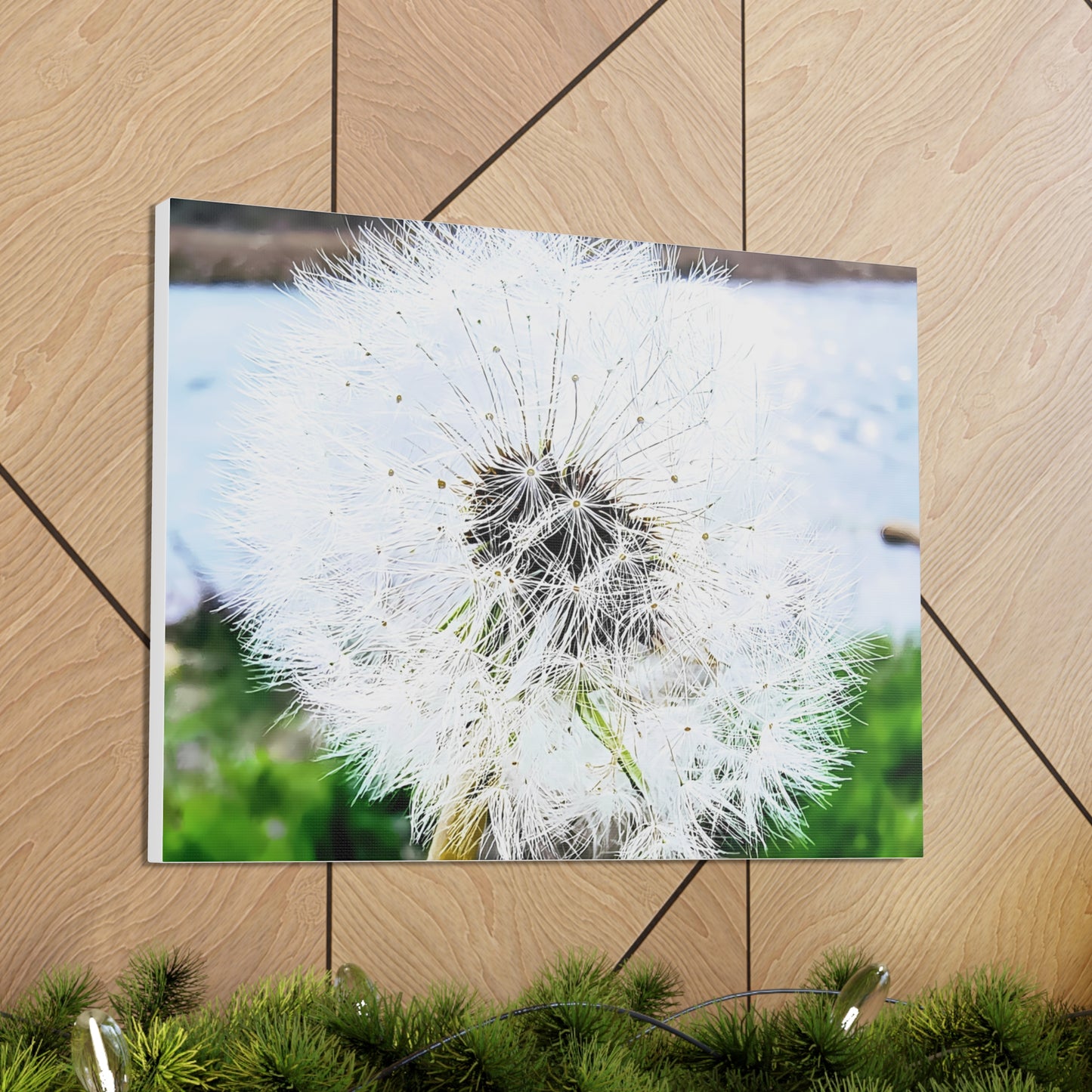 Dandelion Canvas Gallery Wraps - Eccentricity Emporium LLC