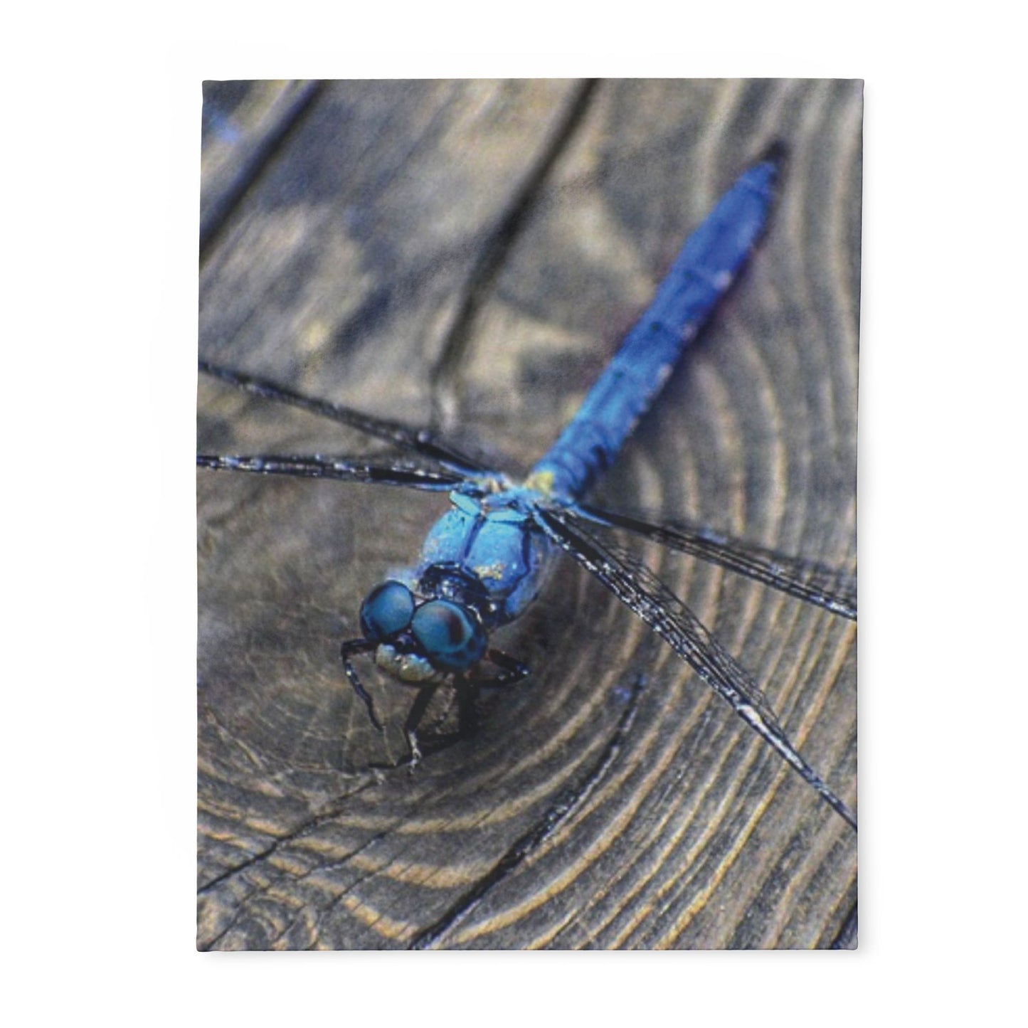 Dragonfly Arctic Fleece Blanket