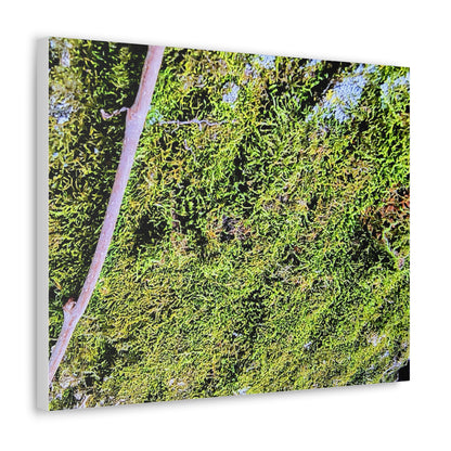 Moss Canvas Gallery Wraps - Eccentricity Emporium LLC