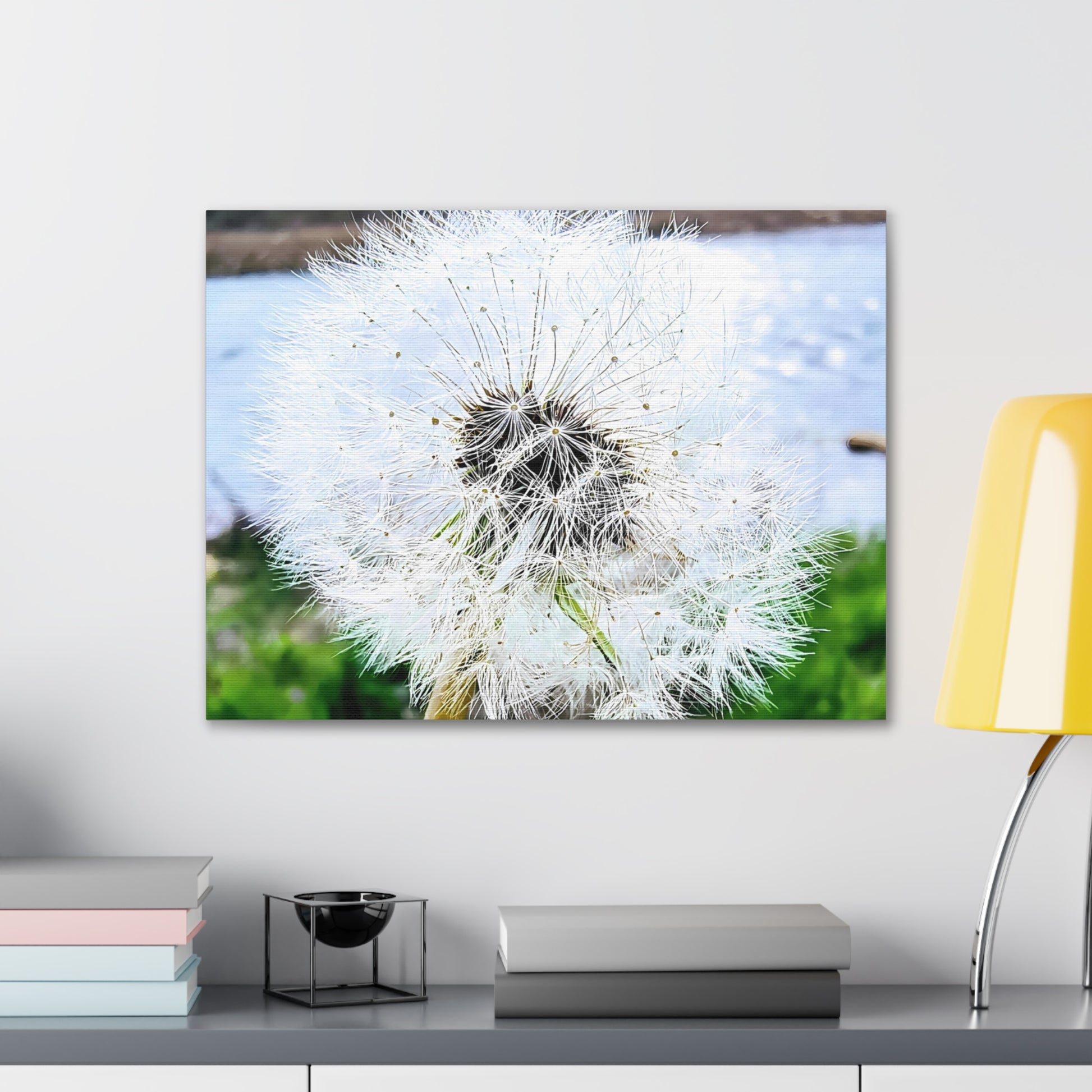 Dandelion Canvas Gallery Wraps - Eccentricity Emporium LLC