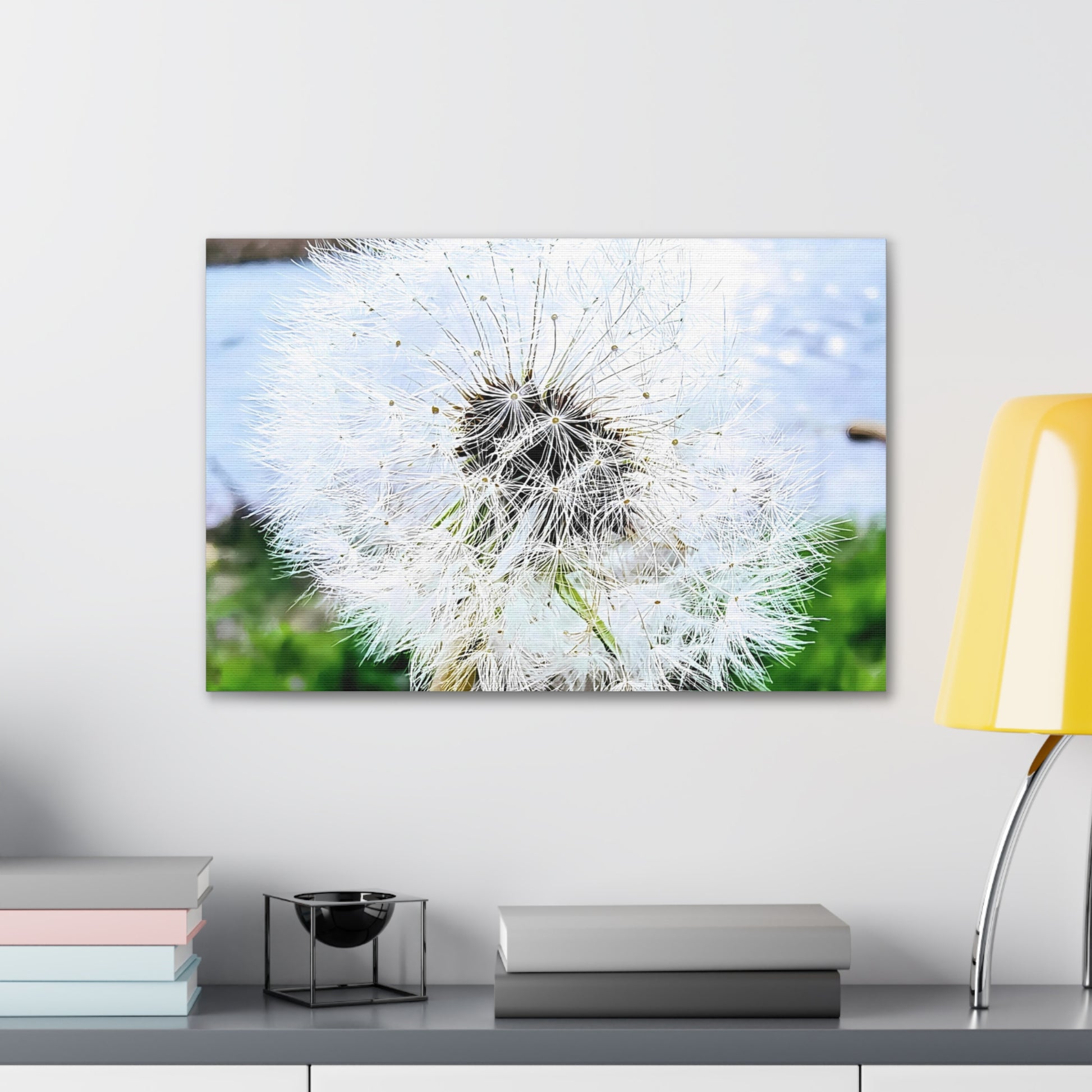 Dandelion Canvas Gallery Wraps - Eccentricity Emporium LLC