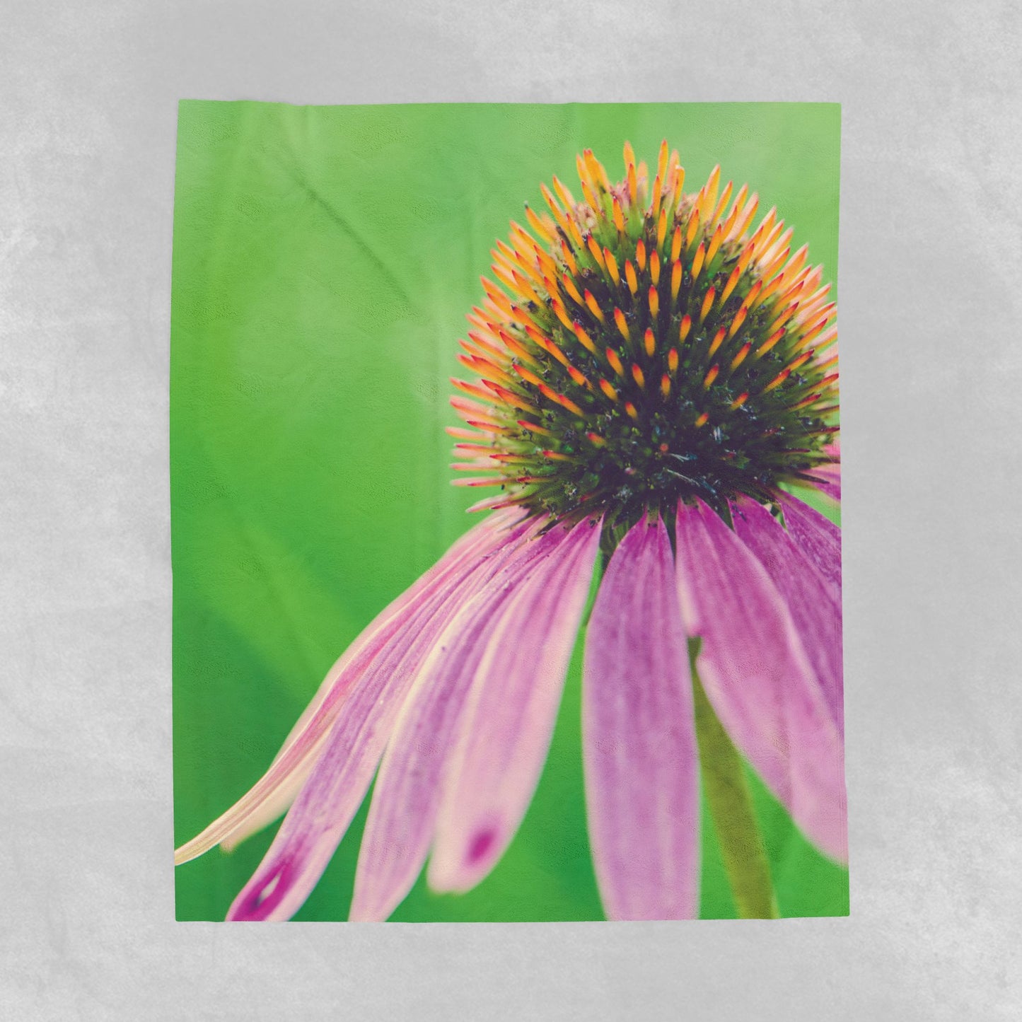Coneflower Close-Up Velveteen Plush Blanket - Gifts - Comfort - Teachers - Friends