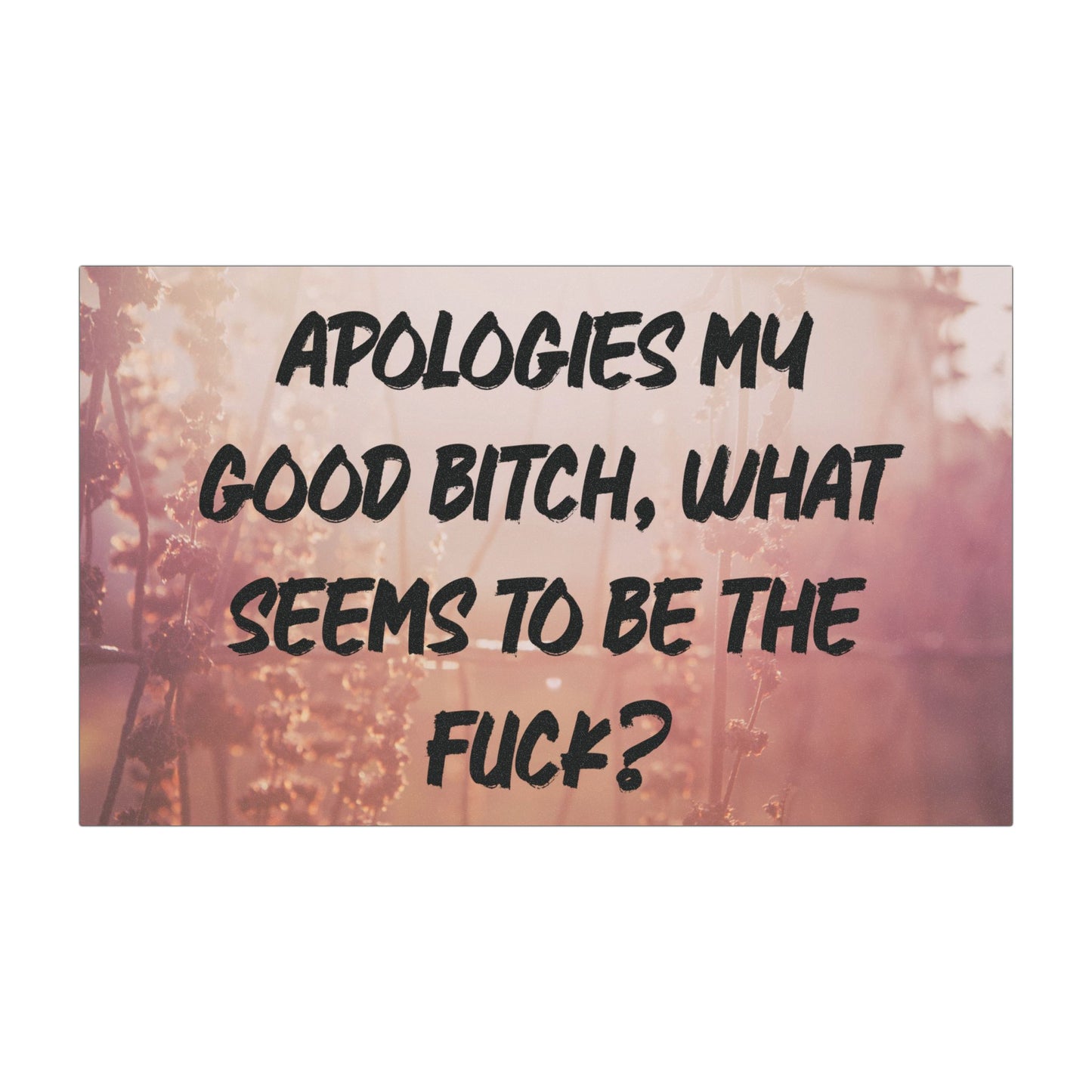 Funny Profanity Car Magnet - "Apologies My Good Bitch, What Seems To Be The Fuck?"