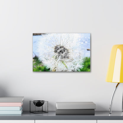 Dandelion Canvas Gallery Wraps - Eccentricity Emporium LLC