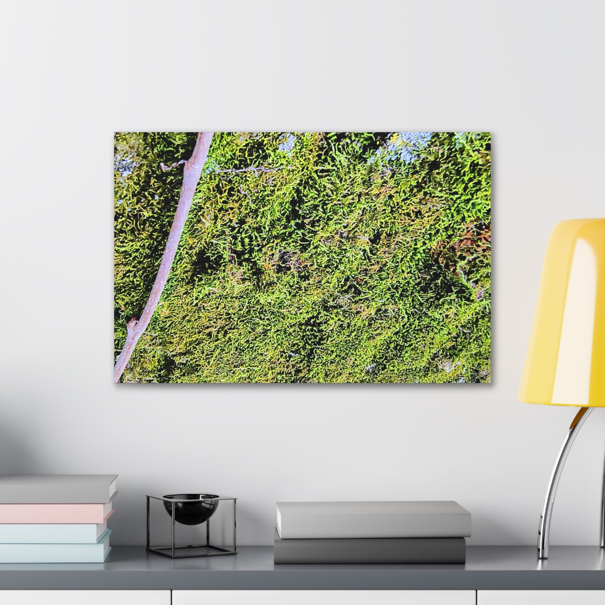 Moss Canvas Gallery Wraps - Eccentricity Emporium LLC