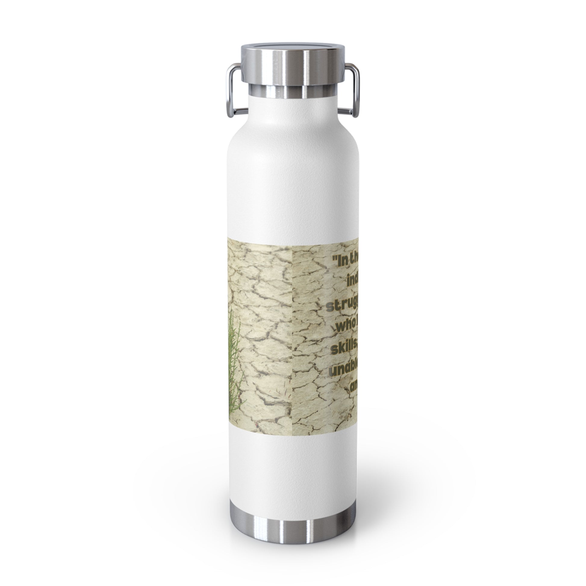 In the 21st Century Copper Vacuum Insulated Bottle, 22oz - Eccentricity Emporium LLC